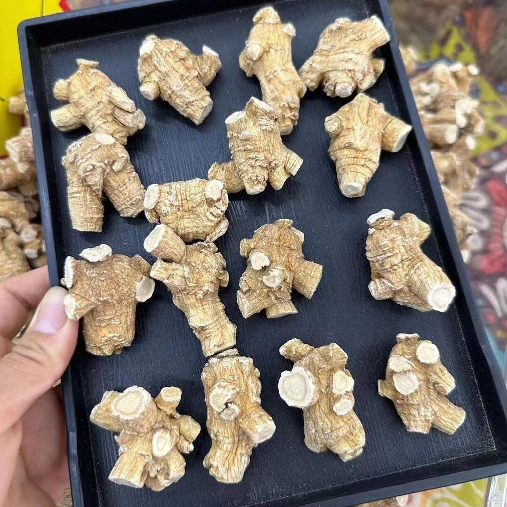 Original Imported Canada American Ginseng Whole Grain Head Flag Ginseng Soup Soaking Water