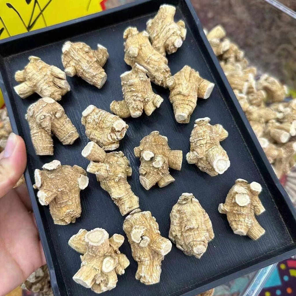 Original Imported Canada American Ginseng Whole Grain Head Flag Ginseng Soup Soaking Water