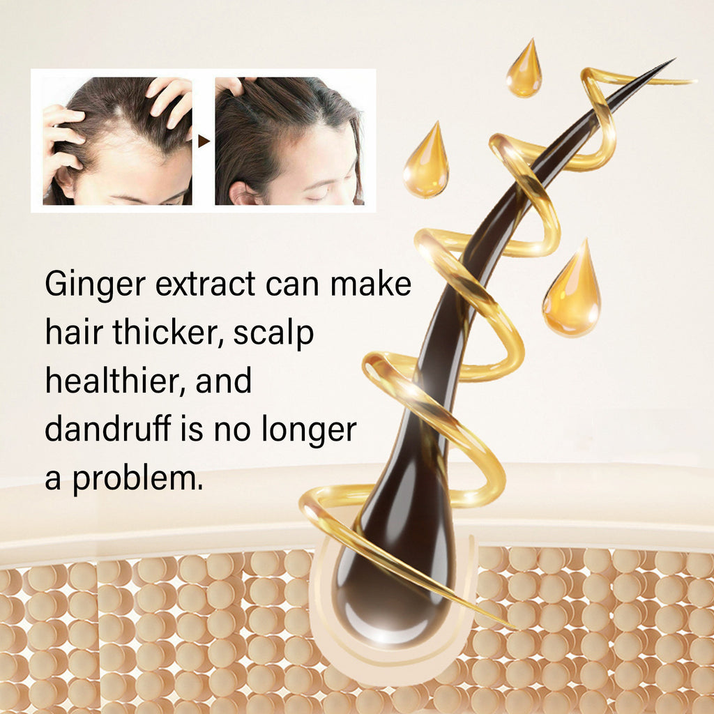 Ginger Dense Hair Shampoo For Relieving Itching
